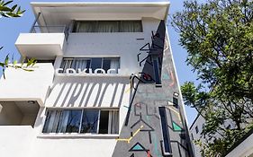 Curiocity Green Point